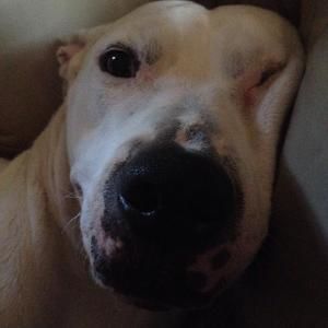 Meet your Posher, Jackson